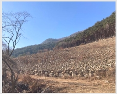  2024Ÿ��3370  ���������