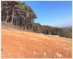  2024Ÿ��3370  ���������