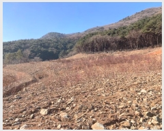  2024Ÿ��3370  ���������