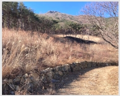  2024Ÿ��3370  ���������