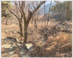  2024Ÿ��3370  ���������