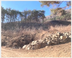  2024Ÿ��3370  ���������