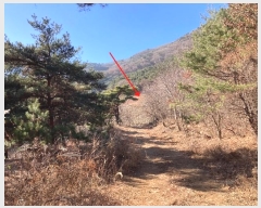  2024Ÿ��3370  ���������