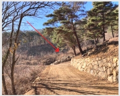  2024Ÿ��3370  ���������