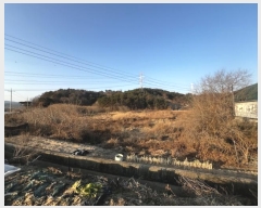  2024Ÿ3424 泲 Ƿɱ   214      ()