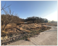  2024Ÿ3424 泲 Ƿɱ   214      ()