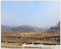  2024Ÿ3424 泲 Ƿɱ   214      ()