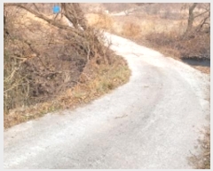  2024Ÿ3424 泲 Ƿɱ   214      ()