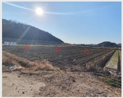  2024Ÿ3523 泲 Ƿɱ  ߱ 1726      ()