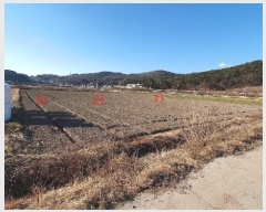  2024Ÿ3523 泲 Ƿɱ  ߱ 1726      ()