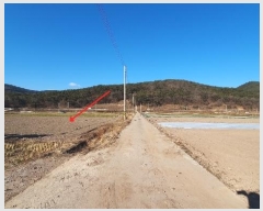  2024Ÿ3523 泲 Ƿɱ  ߱ 1726      ()