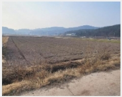  2024Ÿ3523 泲 Ƿɱ  ߱ 1726      ()