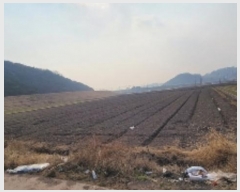  2024Ÿ3523 泲 Ƿɱ  ߱ 1726      ()