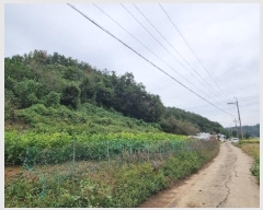  2024Ÿ104341 泲 Ծȱ  θ 592-2      ()