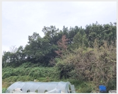  2024Ÿ104341 泲 Ծȱ  θ 592-2      ()