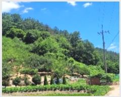  2024Ÿ104341 泲 Ծȱ  θ 592-2      ()