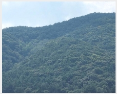  2024Ÿ��104440 �泲 â���� ���������� ����� ������ ��130     ����(�Ӿ�)���