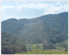  2024Ÿ��104440 �泲 â���� ���������� ����� ������ ��130     ����(�Ӿ�)���