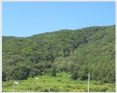  2024Ÿ��104440 �泲 â���� ���������� ����� ������ ��130     ����(�Ӿ�)���