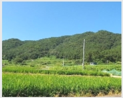  2024Ÿ��104440 �泲 â���� ���������� ����� ������ ��130     ����(�Ӿ�)���