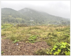  2024Ÿ��106224 �泲 â���� ���������� ����� ������ 319     ����(��)���