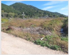  2024Ÿ��106224 �泲 â���� ���������� ����� ������ 319     ����(��)���