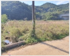  2024Ÿ��106224 �泲 â���� ���������� ����� ������ 319     ����(��)���