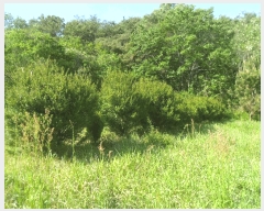  2024Ÿ��106583 �泲 �Ծȱ� ���ϸ� ������ 43-1      ����(��1)���