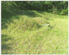  2024Ÿ��106583  ���ð��