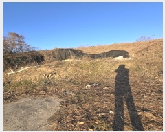  2024Ÿ107432 泲 Ծȱ  Ȳ縮 333      (1)