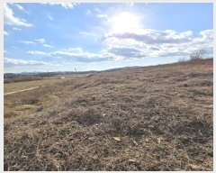  2024Ÿ107432 泲 Ծȱ  Ȳ縮 333      (1)