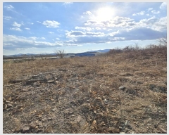  2024Ÿ107432 泲 Ծȱ  Ȳ縮 333      (1)