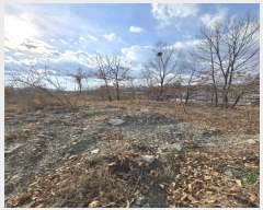  2024Ÿ107432 泲 Ծȱ  Ȳ縮 333      (1)