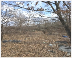  2024Ÿ107432 泲 Ծȱ  Ȳ縮 333      (1)