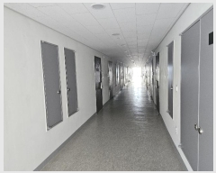  2024Ÿ��8919 ���� ���ֽ� ��ȭ�� 81, 13��1310ȣ (��������,����޷ν���Ʈ��Ÿ��)     ����Ʈ��������