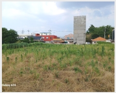  2024Ÿ73234  ֽ õ  222-30      ()