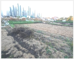  2024Ÿ��85565 ���� �ϱ� �ſ뵿 477-10       ����(��)���