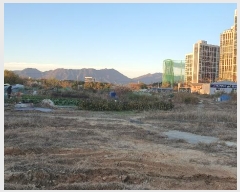  2024Ÿ��85565 ���� �ϱ� �ſ뵿 477-10       ����(��)���