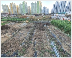  2024Ÿ��85565 ���� �ϱ� �ſ뵿 477-10       ����(��)���