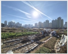  2024Ÿ��85565 ���� �ϱ� �ſ뵿 477-10       ����(��)���