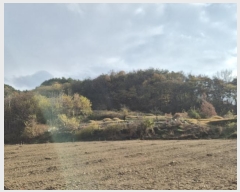  2024Ÿ87066   ޸ 񵿸 39      (1)