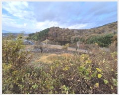  2024Ÿ87066   ޸ 񵿸 39      (1)