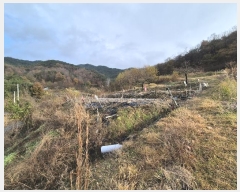  2024Ÿ87066   ޸ 񵿸 39      (1)