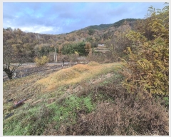  2024Ÿ87066   ޸ 񵿸 39      (1)