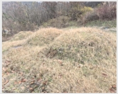  2024Ÿ87066   ޸ 񵿸 39      (1)