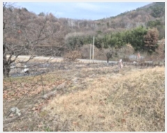  2024Ÿ87066   ޸ 񵿸 39      (1)