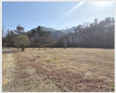  2024Ÿ��87462 ���� ȭ���� �̼��� ���� 85-2      ���(�󰡽ü�)���