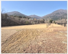  2024Ÿ��87462 ���� ȭ���� �̼��� ���� 85-2      ���(�󰡽ü�)���