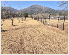  2024Ÿ��87462 ���� ȭ���� �̼��� ���� 85-2      ���(�󰡽ü�)���