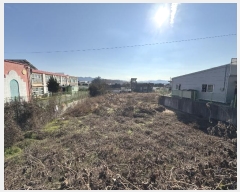  2024Ÿ��88267 ���� ȭ���� ȭ���� ���� 241-1      ����(��1)���